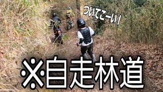 【自走女子】今、話題の散らかし山を爆走してきた