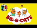 KID -E-CAT ‼️Cousin Cartoon in Toca Boca Life World English for kids