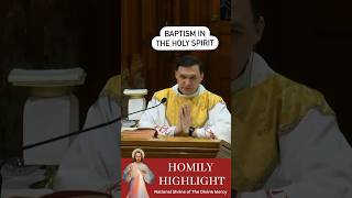 Baptism in the Holy Spirit #homilyhighlight #marianfathers #divinemercy #pentecost