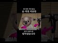 다이슨이 다 망쳐놓은 한국 드라이기 업계