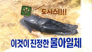 파판14) [스트리밍] 물아일체되어 입딜싸하는 현자