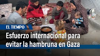 Prosiguen esfuerzos internacionales para evitar la hambruna en Gaza | El Tiempo
