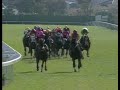 サクラローレル 1996年 第113回天皇賞 春 gi 優勝馬：サクラローレル 勝利騎手インタビュー付