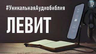 Книга Левит. Читаем Библию вместе. УНИКАЛЬНАЯ  АУДИОБИБЛИЯ