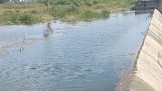 Kottarai Dam In Ariyalur. அரியலூரில் இப்படி ஒரு இடமா?#live #அரியலூர்