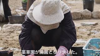 26年越しの思い叶う　ー唐招提寺　植え付け当日ー2022.3.20