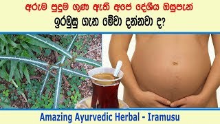 ඉරමුසු ගැන මේවා දන්නවා ද - Amazing Ayruvedic Herbal – Iramusu