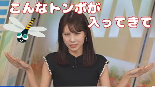 【戸北美月】大自然での撮影で見たトンボの顔真似を披露するみーちゃん【ウェザーニュース】