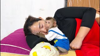 full video... baby monkey Tina takes care of her sick mother by herself, so touching