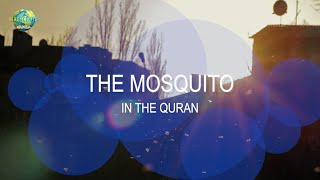 The Mosquito in the Quran