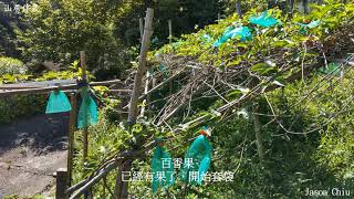 山居伴農－20210521修剪果樹是費時，清理樹枝更是費力