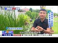 熱血阿嬤「藺」類時尚 百年工藝創新生《海峽拚經濟》