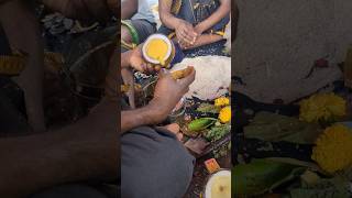 sabarimala ayyappa ghee coconut video irumudi nei thengai | nei abishegam #sabarimala #ghee#iyyappan