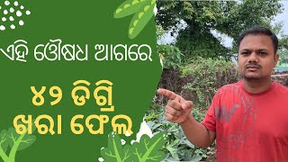 ଖରା ଦିନ ରେ ଫଳ ଫୁଲ ପାଇଂ ଖାଦ୍ୟ ସାର ॥ khara dina re vitamim