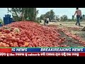 ଟମାଟୋ ହେଲା ଶସ୍ତା ଚାଷୀ ହେଲେ ହନ୍ତସନ୍ତ tomato price goes down ଟମାଟୋ କିଲୋ ୩ ଟଙ୍କା ତଥାପି ହେଉନି ବିକ୍ରି