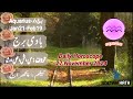 27 november 2024 daily horoscope in urdu 2024 aaj ka din kaisa rehega 2024 boltay hath