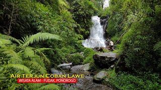 ASLI INDAH ‼️ BEGINILAH JALAN MENUJU LOKASI AIR TERJUN COBA LAWE, SUASANANYA BIKIN BAHAGIA