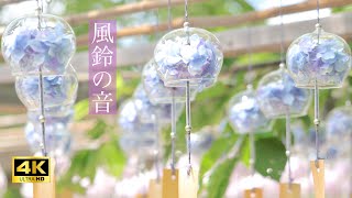 【環境音ASMR 4K 3h】風鈴の音 relaxing sound of wind chimes