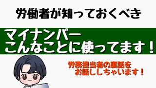 【マイナンバー】労務担当者の裏話！マイナンバーこんなことに使ってます