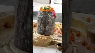 nileshwar mahadev mandir #haridwar #uttarakhand