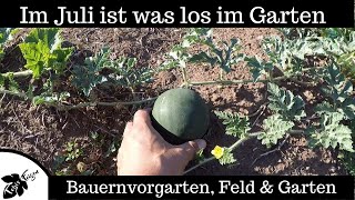 Im Juli ist was los im Garten