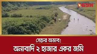 সেচের অভাব!, শেরপুরে অনাবাদি ২ হাজার একর জমি | Sherpur | Desh tv news