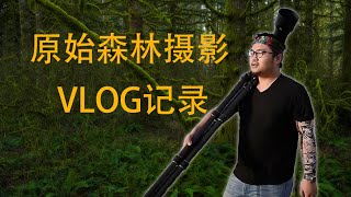 摄影知识！森林与雪山风光摄影VLOG全记录教学