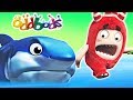 Download Oddbods | BABY SHARK | Funny Cartoons For Children | Oddbods & Friends In Mp4 3Gp Full HD Video