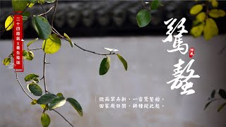 【24節氣x養生瑜珈】-適合「驚蟄」節氣的瑜珈體位法｜明祝老師｜#腹脹腹瀉 #腸胃感染 #自然呼吸瑜珈 #瑜珈教學 ｜15 mins healthy yoga