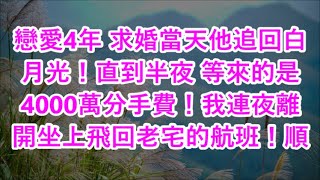 戀愛4年 求婚當天他追回白月光！直到半夜 等來的是4000萬分手費！我連夜離開坐上飛回老宅的航班！順