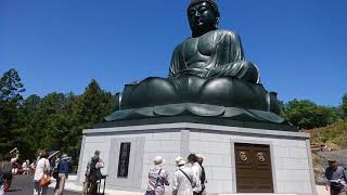 東京都西多摩郡日の出町 宝光寺 鹿野大佛(ろくや)  2018/4/26