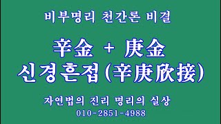 107 辛金+庚金=신경흔접辛庚欣接, 비부명리 천간론