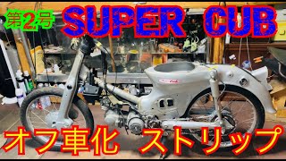 【月刊オフ車を作ろう】スーパーカブ 解体編  …  立ちゴケ？やらかした！【C50】