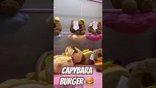 #capybara burger #cutethings #cute #capybaramemes #kawaiithings #capy #kawaii