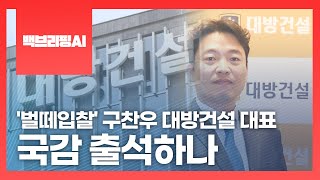 [백브리핑AI] '벌떼입찰' 구찬우 대방건설 대표, 국감 출석하나