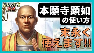 【信長の野望 覇道】(シーズン7 刀光剣影)　本願寺顕如の使い方　末永く使えます!!　(統制・発揚・鉄砲・足軽・編成・戦法・技能・秘伝・縁・育成・部隊・副将・与力)