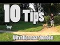 Dog School: 10 tips om uitvallen aan de lijn te trainen