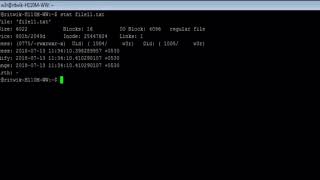 Linux - stat Command - w3resource