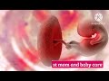 early pregnancy symptoms in tamil by doctor கரு உருவாதல் அறிகுறி implantation symptoms in tamil