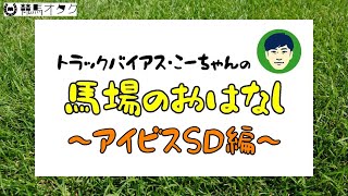 【アイビスSD2020】新潟芝1000ｍの特徴と馬場傾向（トラックバイアス）