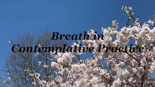 Breath in Contemplative Practice
