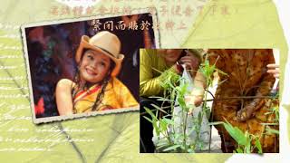 旅遊篇1- 雲南跳舞草的美麗傳説 (Tourism 1- Legend of Yunnan Dancing Grass)