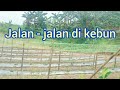 Jalan-jalan ke kebun