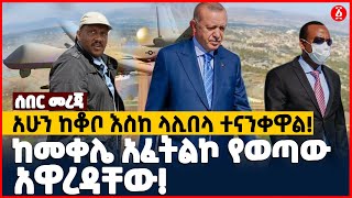 አሁን ከቆቦ እስከ ላሊበላ ተናንቀዋል! | ከመቀሌ አፈትልኮ የወጣው አዋረዳቸው! | Ethiopia