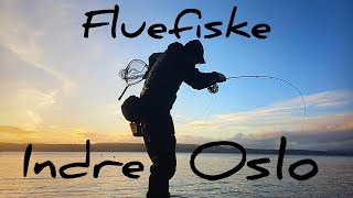 Fluefiske Indre Oslofjord - Sjøørret - Winston b2x/b3x