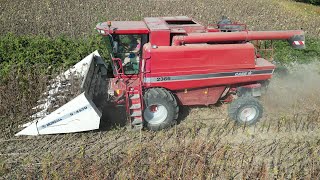 Fin des moissons de tournesol 2023 en Charente-Maritime 🚜🚜