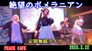 絶望のポメラニアン 2023.2.22 定期無銭ライブ PEACE CAFE