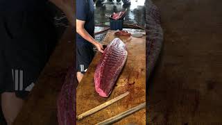 Cut Bluefin tuna toro