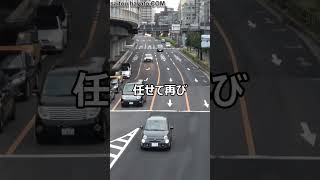 【爆笑】真正面に女性警察官が立ってるのに全く同じ挙動で自ら捕まりに行くstyleの違反者がオモロすぎるってｗｗｗ#shorts