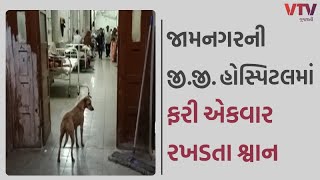 Jamnagar News: જી.જી. હોસ્પીટલ ફરી એકવાર ચર્ચામાં, હોસ્પિટલમાં ફરી એકવાર રખડતા શ્વાનનો વીડિયો વાયરલ